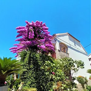 Apartman Nada, Sali